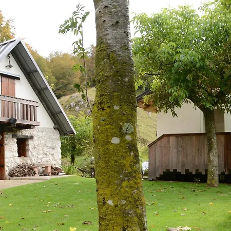 Πανσιόν Agribed Quierta - Camerette *