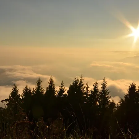 Agribed Quierta - Camerette *