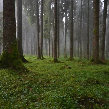 Agribed Quierta - Camerette Πανσιόν *
