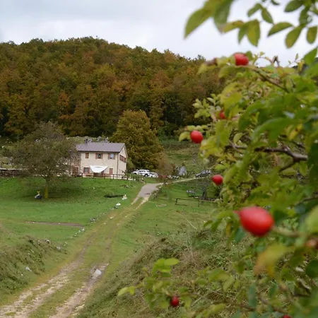 Agribed Quierta - Camerette * La Crosetta