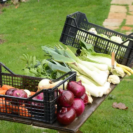 Гостевой дом Agribed Quierta - Camerette *