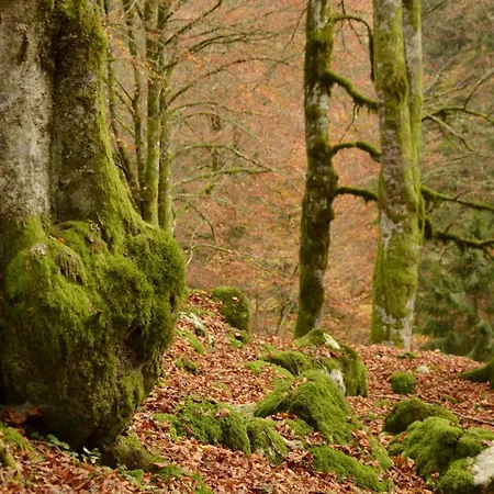 Agribed Quierta - Camerette Гостевой дом